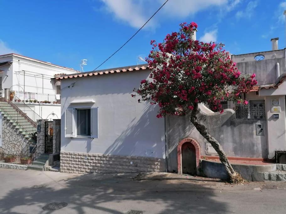Sweet Home, Anacapri מראה חיצוני תמונה